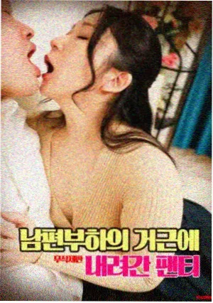 剧集节奏观察配图